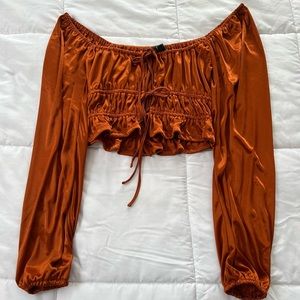 NWOT Satin Long-Sleeve Crop